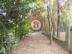 Quinta - Cruz, Vila Nova de Famalic�o, Braga - Miniatura: 8/20