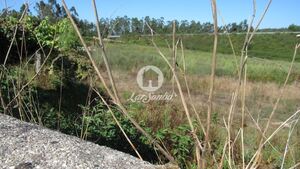 Terreno R�stico - Junqueira, Vila do Conde, Porto - Miniatura: 5/5