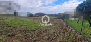 Terreno R�stico - Rio Mau, Vila do Conde, Porto - Miniatura: 4/14