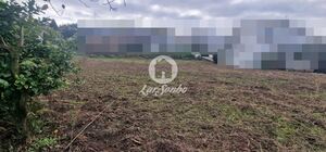 Terreno R�stico - Rio Mau, Vila do Conde, Porto - Miniatura: 7/14
