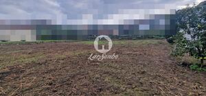 Terreno R�stico - Rio Mau, Vila do Conde, Porto - Miniatura: 10/14