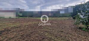 Terreno R�stico - Rio Mau, Vila do Conde, Porto - Miniatura: 14/14