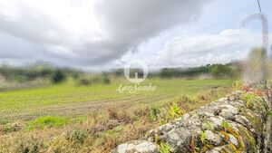 Terreno R�stico - Junqueira, Vila do Conde, Porto - Miniatura: 6/17