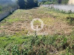 Terreno R�stico - Muro, Trofa, Porto - Miniatura: 4/11
