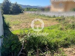 Terreno R�stico - Muro, Trofa, Porto - Miniatura: 5/11