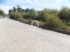 Terreno R�stico - Macieira da Maia, Vila do Conde, Porto - Miniatura: 7/8