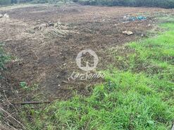 Terreno R�stico - Vila do Conde, Vila do Conde, Porto - Miniatura: 4/14