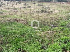 Terreno R�stico - Vila do Conde, Vila do Conde, Porto - Miniatura: 11/14