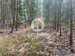 Terreno R�stico - Bagunte, Vila do Conde, Porto - Miniatura: 2/16