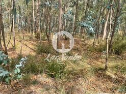 Terreno R�stico - Bagunte, Vila do Conde, Porto - Miniatura: 9/16