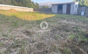 Terreno R�stico - Ribeir�o, Vila Nova de Famalic�o, Braga - Miniatura: 2/6