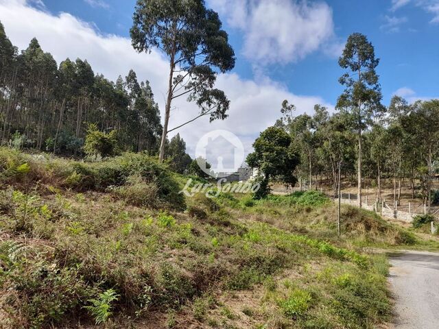 Terreno Rstico - Arnoso, Vila Nova de Famalico, Braga - Imagem grande