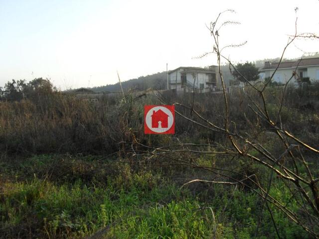 Terreno R�stico - Rates, P�voa de Varzim, Porto - Imagem grande