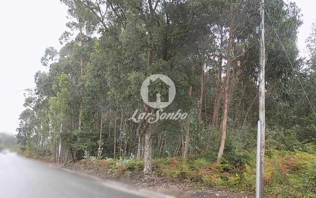 Terreno R�stico - Lemenhe, Vila Nova de Famalic�o, Braga - Imagem grande