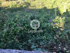 Terreno R�stico - Malta, Vila do Conde, Porto