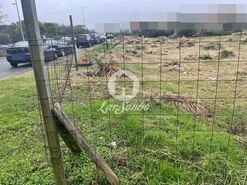 Terreno R�stico - Vila do Conde, Vila do Conde, Porto - Miniatura: 10/14