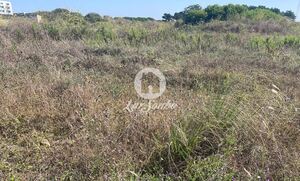 Terreno R�stico - Vila do Conde, Vila do Conde, Porto - Miniatura: 3/7