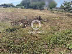 Terreno Rstico - Apulia, Esposende, Braga - Miniatura: 2/3