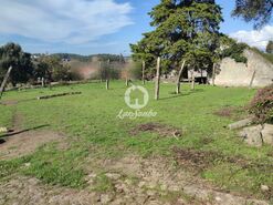 Quinta > T6 - Touguinha, Vila do Conde, Porto - Miniatura: 1/20