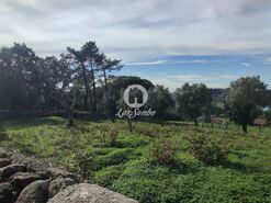 Quinta > T6 - Touguinha, Vila do Conde, Porto - Miniatura: 16/20
