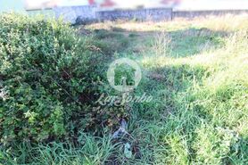 Terreno Rstico - Balazar, Pvoa de Varzim, Porto - Miniatura: 1/2