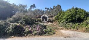 Terreno R�stico - A Ver-o-Mar, P�voa de Varzim, Porto - Miniatura: 2/9