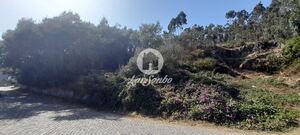 Terreno R�stico - A Ver-o-Mar, P�voa de Varzim, Porto - Miniatura: 5/9