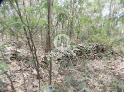 Terreno R�stico - A Ver-o-Mar, P�voa de Varzim, Porto - Miniatura: 8/9