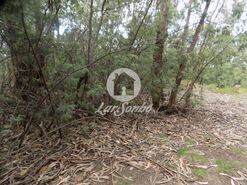 Terreno R�stico - A Ver-o-Mar, P�voa de Varzim, Porto - Miniatura: 9/9