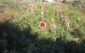 Terreno R�stico - P�voa de Varzim, P�voa de Varzim, Porto - Miniatura: 1/4