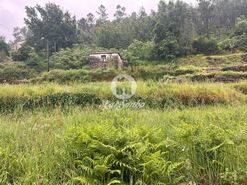 Terreno R�stico - Campo, Barcelos, Braga - Miniatura: 1/7
