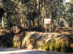 Terreno R�stico - Gi�o, Vila do Conde, Porto - Miniatura: 4/6