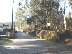 Terreno R�stico - Gi�o, Vila do Conde, Porto - Miniatura: 5/6