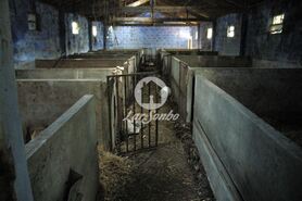 Quinta T3 - Brufe, Vila Nova de Famalic�o, Braga - Miniatura: 7/9
