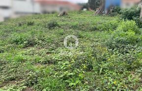 Terreno R�stico - Muro, Trofa, Porto - Miniatura: 4/8