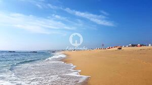 Moradia T5 - Perafita, Matosinhos, Porto - Miniatura: 1/28
