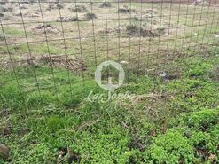 Terreno R�stico - Vila do Conde, Vila do Conde, Porto - Miniatura: 8/14