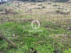 Terreno R�stico - Vila do Conde, Vila do Conde, Porto - Miniatura: 9/14