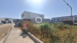 Terreno R�stico - P�voa de Varzim, P�voa de Varzim, Porto - Miniatura: 6/13
