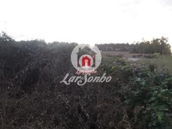 Terreno R�stico - Macieira da Maia, Vila do Conde, Porto - Miniatura: 3/7