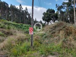Terreno R�stico - Arnoso, Vila Nova de Famalic�o, Braga - Miniatura: 1/2