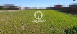 Terreno R�stico - Estela, P�voa de Varzim, Porto - Miniatura: 4/5