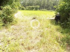 Terreno R�stico - P�voa de Varzim, P�voa de Varzim, Porto - Miniatura: 7/9
