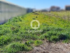 Terreno R�stico - Agu�adoura, P�voa de Varzim, Porto - Miniatura: 1/12