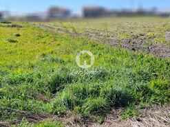 Terreno R�stico - Agu�adoura, P�voa de Varzim, Porto - Miniatura: 2/12
