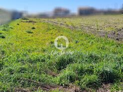 Terreno R�stico - Agu�adoura, P�voa de Varzim, Porto - Miniatura: 3/12