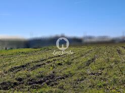 Terreno R�stico - Agu�adoura, P�voa de Varzim, Porto - Miniatura: 6/12