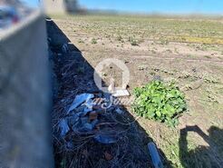 Terreno R�stico - Agu�adoura, P�voa de Varzim, Porto - Miniatura: 9/12