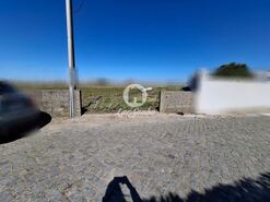 Terreno R�stico - Agu�adoura, P�voa de Varzim, Porto - Miniatura: 11/12