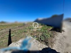 Terreno R�stico - Agu�adoura, P�voa de Varzim, Porto - Miniatura: 12/12